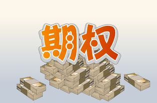 你所理解的个股期权 你所理解的个股期权