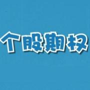期权买方不容忽视的风险 期权买方不容忽视的风险