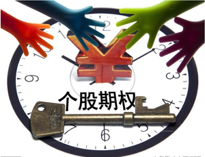 个股期权招商加盟 个股期权招商加盟